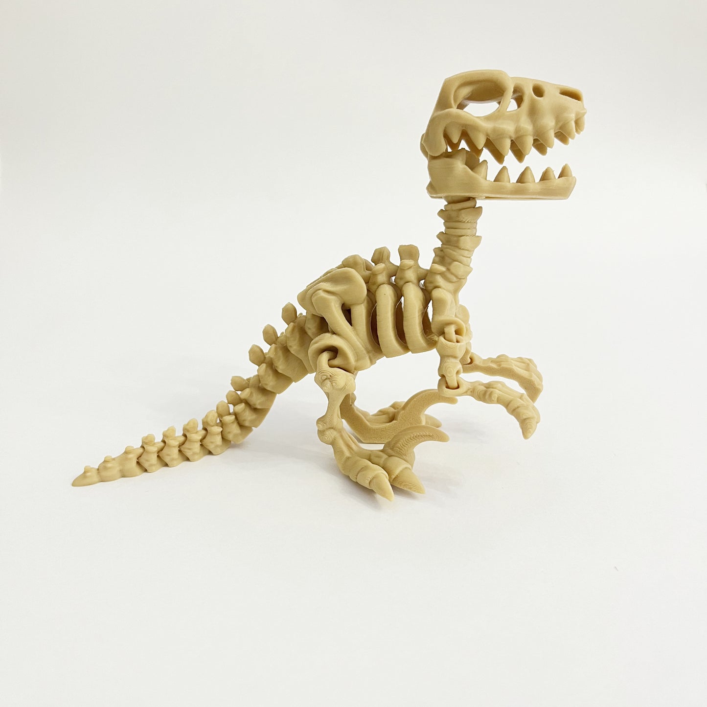 Raptor 3D Hareketli İskelet Dinozor