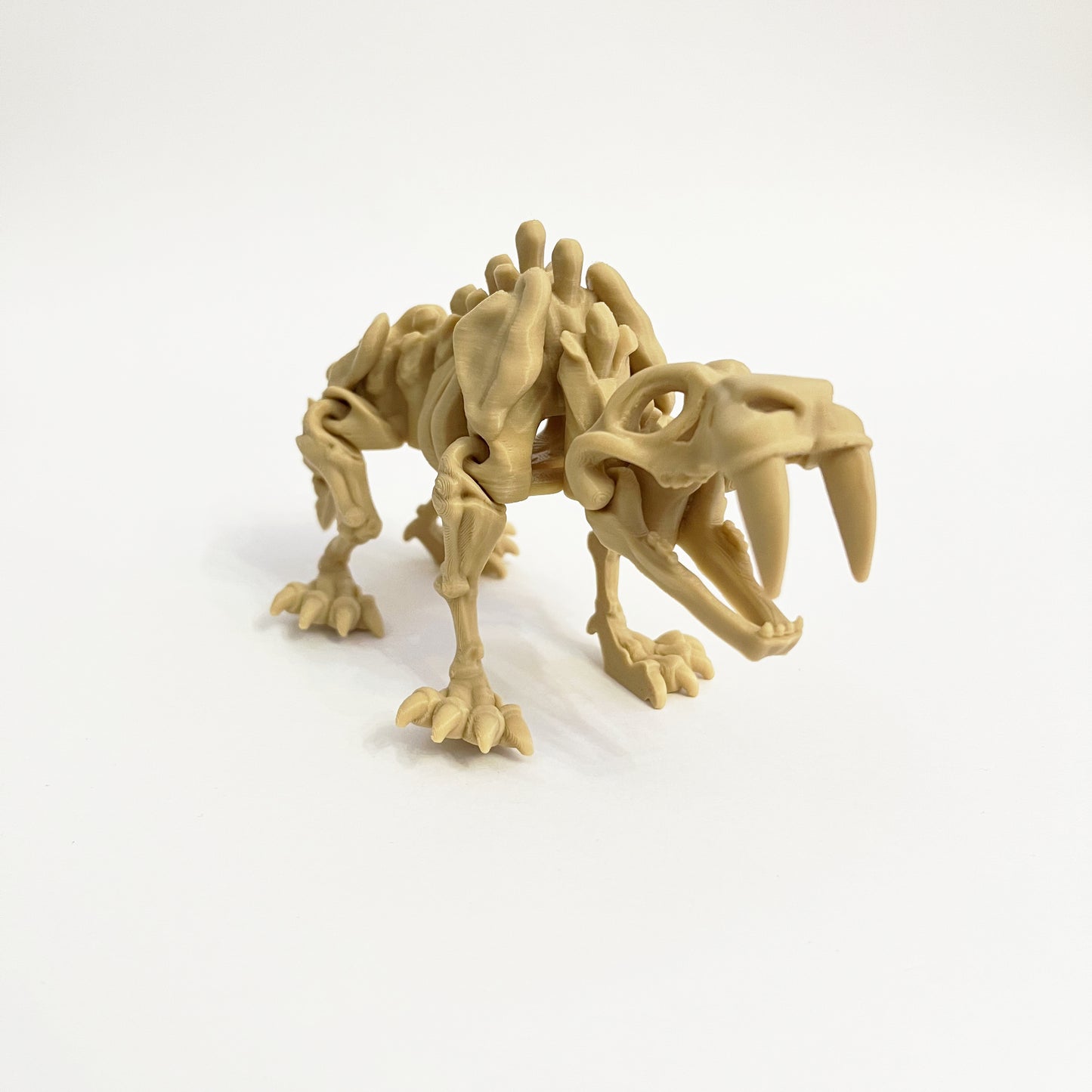 Saber Tooth 3D Hareketli İskelet Dinozor
