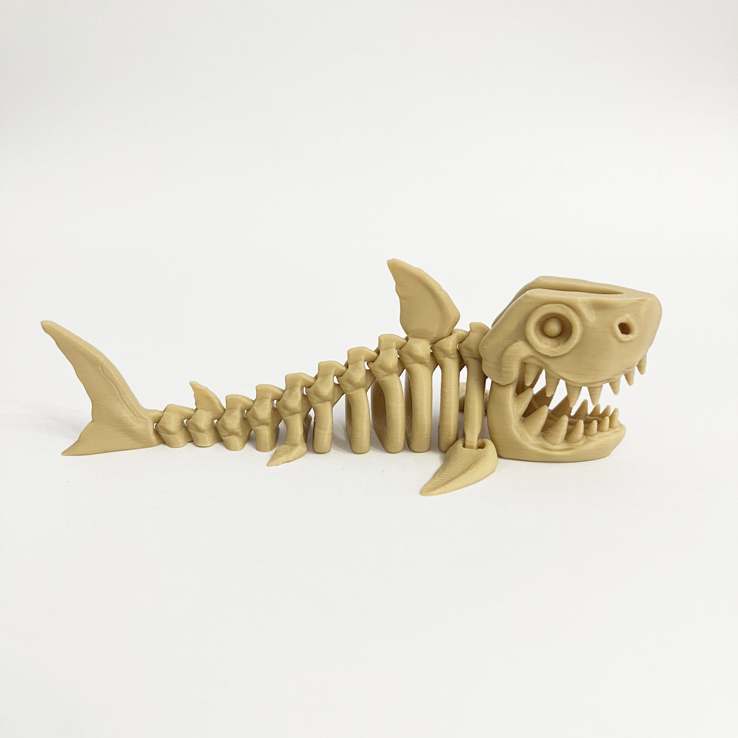 Köpekbalığı 3D Hareketli İskelet