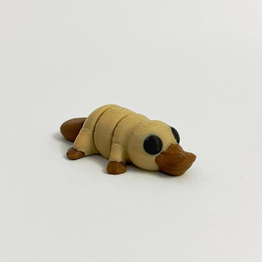Ornitorenk